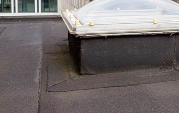 disadvantages of Nuneham Courtenay flat roofs