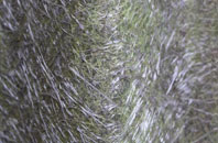 Nuneham Courtenay fibreglass roof work